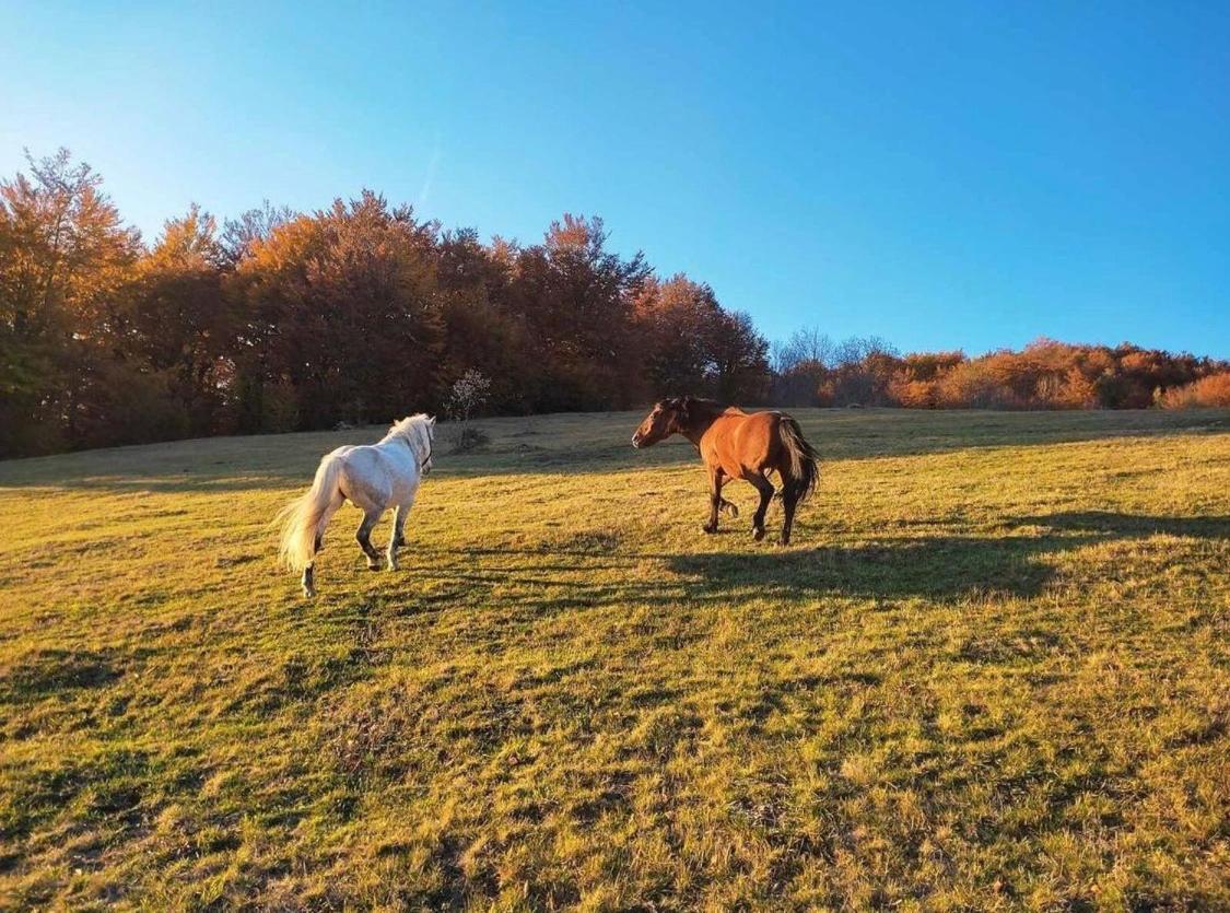 Katun Lanista-Kolibe Bogavac Villa Mojkovac Buitenkant foto