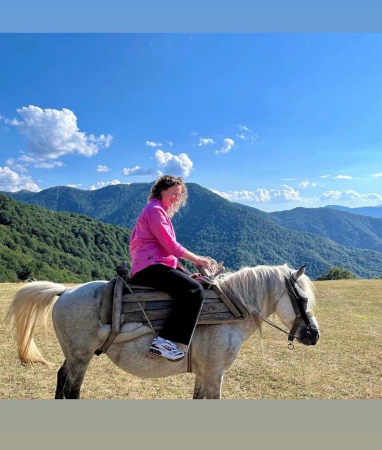 Katun Lanista-Kolibe Bogavac Villa Mojkovac Buitenkant foto