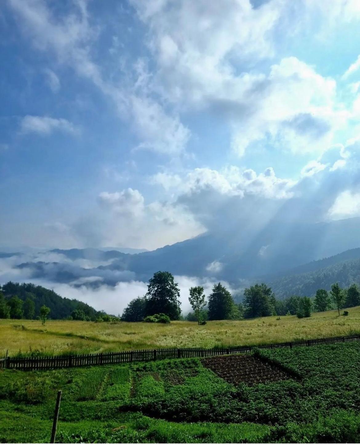 Katun Lanista-Kolibe Bogavac Villa Mojkovac Buitenkant foto